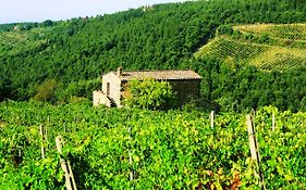 Agriturismo Piemaggino