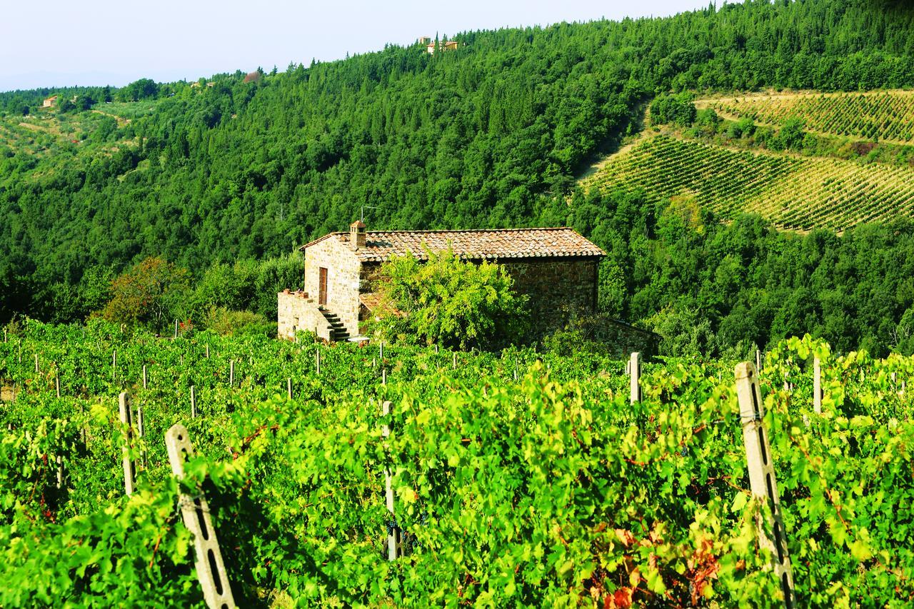 Agriturismo Piemaggino Castellina in Chianti Buitenkant foto