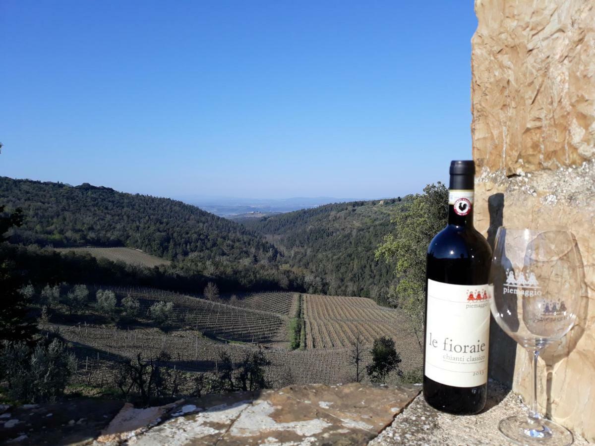 Agriturismo Piemaggino Castellina in Chianti Buitenkant foto